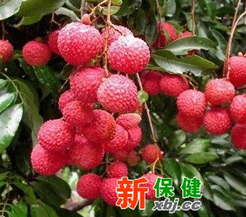 http://www.xywy***/bj/